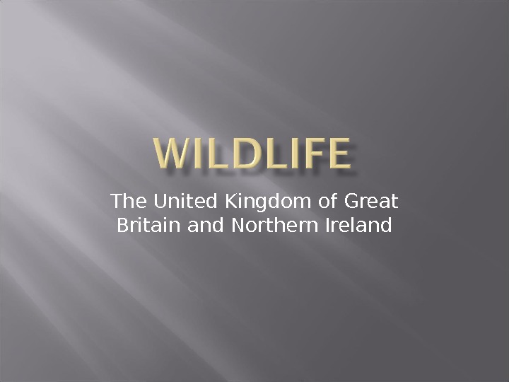 The United Kingdom of Great Britain and Northern Ireland 
