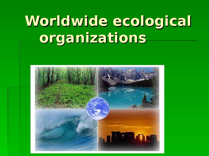  Worldwide ecological organizations 