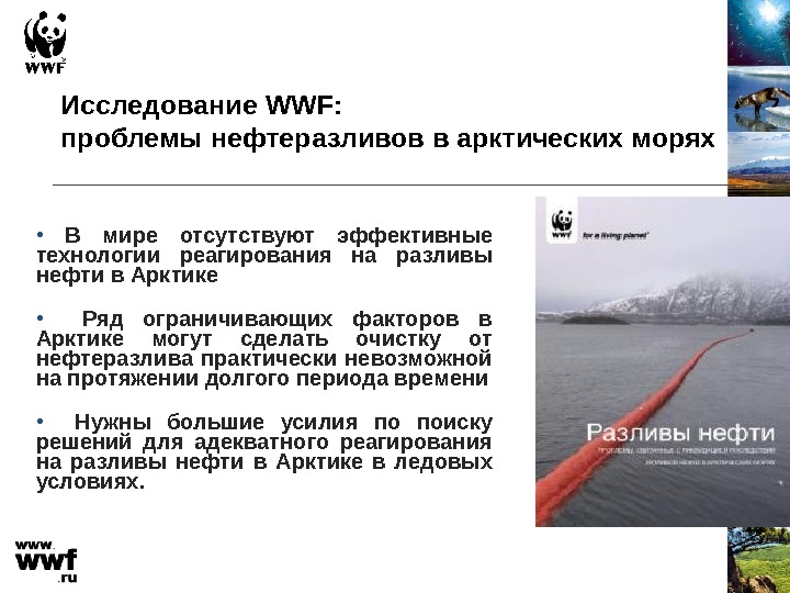 Исследование WWF:  проблемы нефтеразливов в арктических морях •  В мире отсутствуют эффективные технологии реагирования