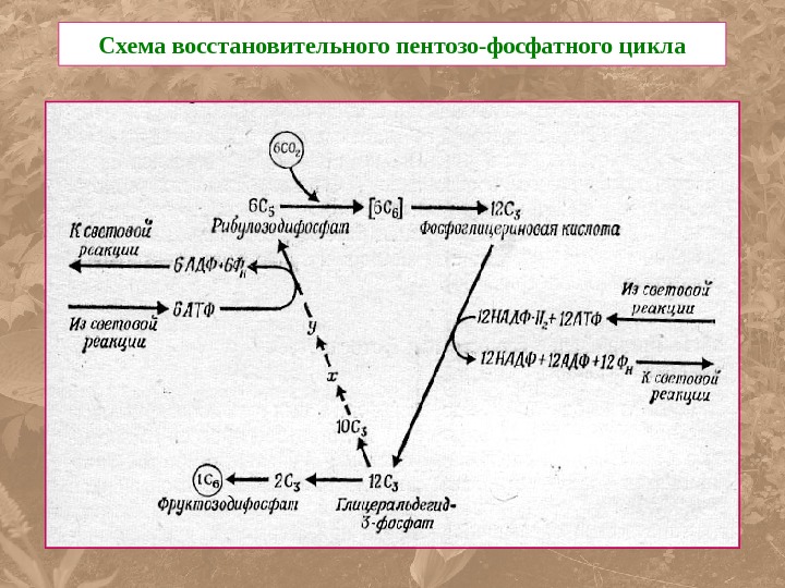 Схема реконструктивных мероприятий