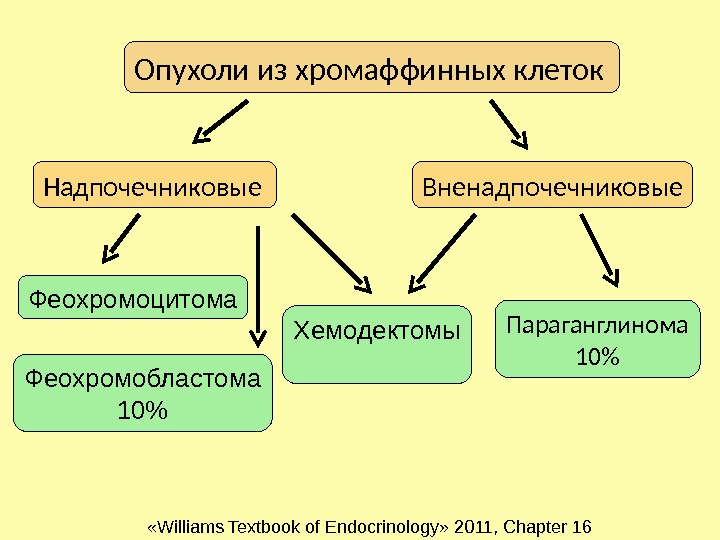 Хромаффинные клетки надпочечников