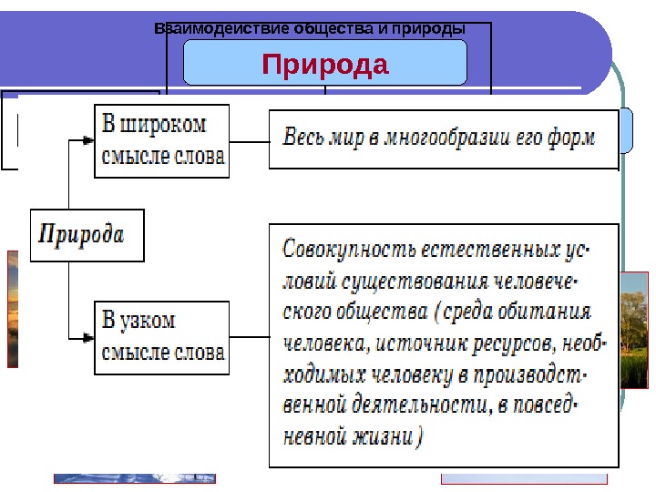 Природа в широком смысле. Понятие природа в обществознании. Природа определение Обществознание. Природа это ЕГЭ Обществознание. Природа термин Обществознание.