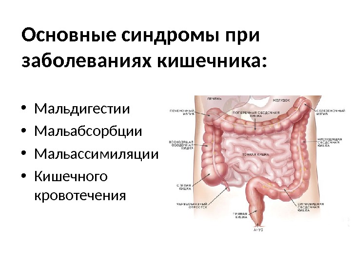 После туалета болит кишечник