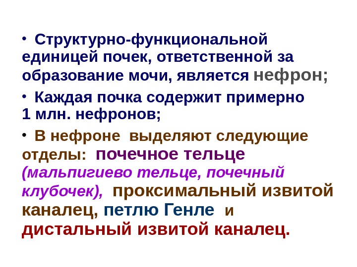 Структурно функциональной единицей почки является. Презентация 10. Биохимия почек и мочи.