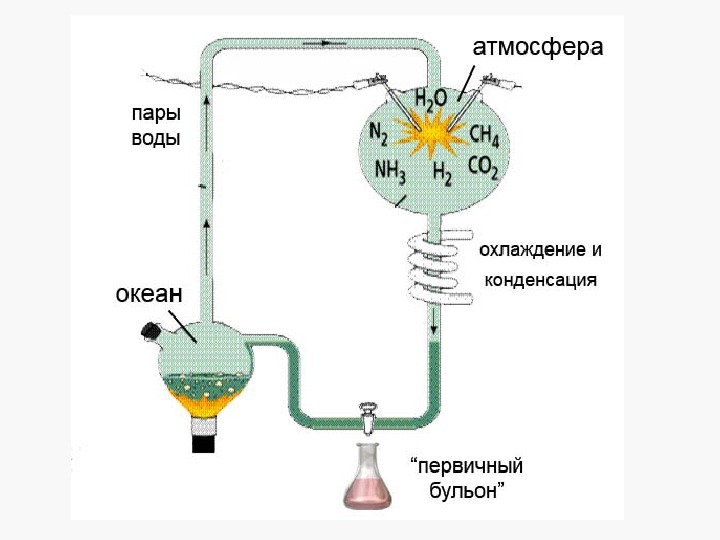 Органические вещества в первичном бульоне могли существовать бесконечно долго на земле из-за