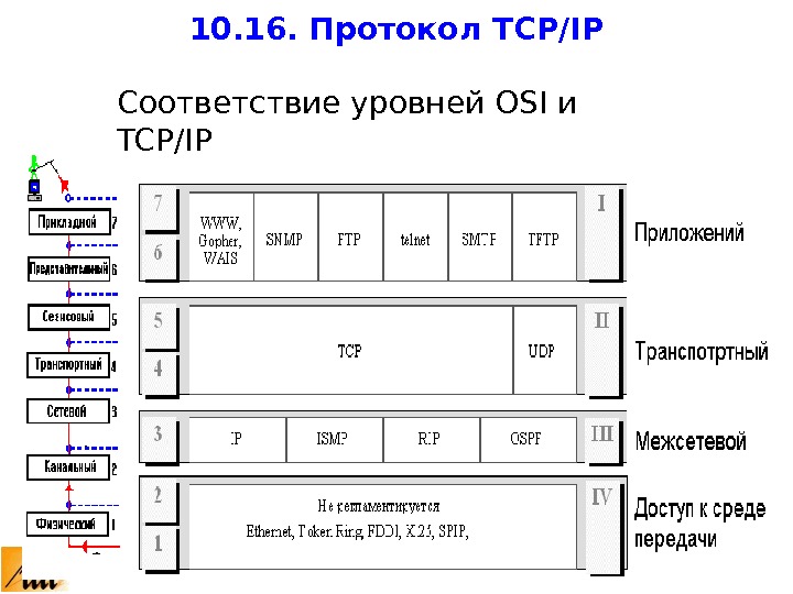 Соответствие уровням модели. Уровни osi и TCP/IP. Протоколы межсетевого уровня. Физический уровень TCP/IP. Межсетевой протокол IP.