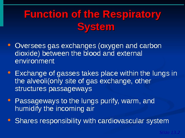 Lung Diseases Function Of The Respiratory System