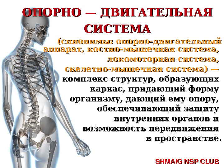 Нарушение опорно двигательной системы биология. Заболевания опорно-двигательной системы. Нарушение опорно двигательной системы. Поражение опорно-двигательного аппарата. Заболевание опорнодвирюгатеььной системы.