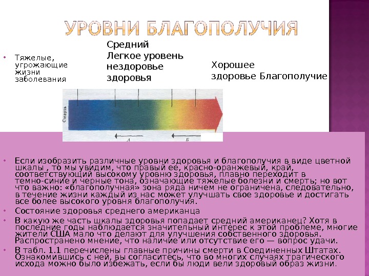 Уровни организма человека