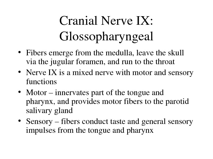 SummaryofFunctionofCranial Nerves Figure 13. 5 b