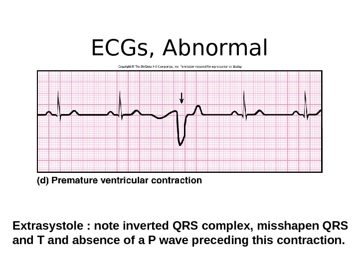 AP 151 Physiology of the Heart Functions