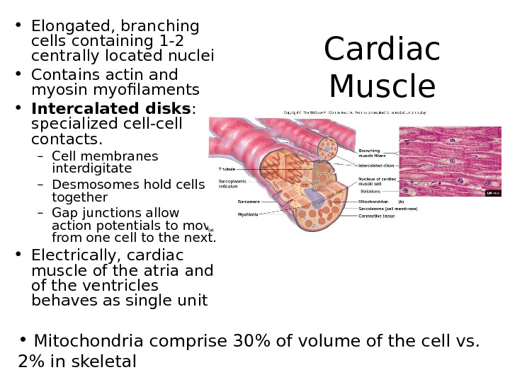 AP 151 Physiology of the Heart Functions