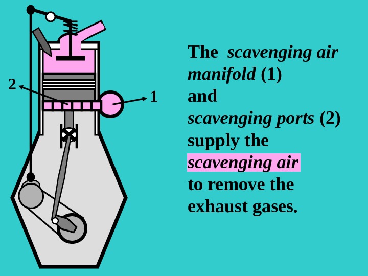Suction Lesson