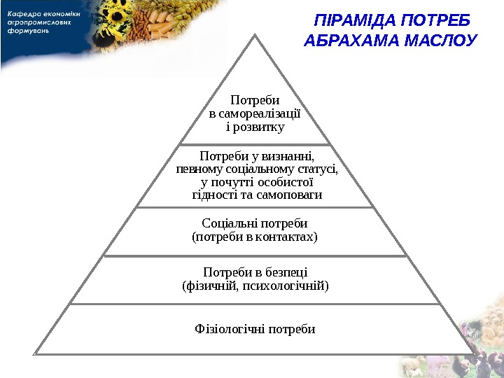 Пирамида потребностей маслоу это диаграмма которая показывает