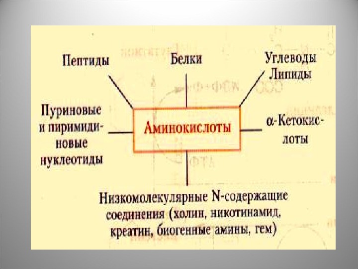 Всасывание аминокислот и простых углеводов. Белки липиды углеводы. Углеводы липиды белки таблица. Липиды жиры углеводы белки. Липиды белки углеводы функции.