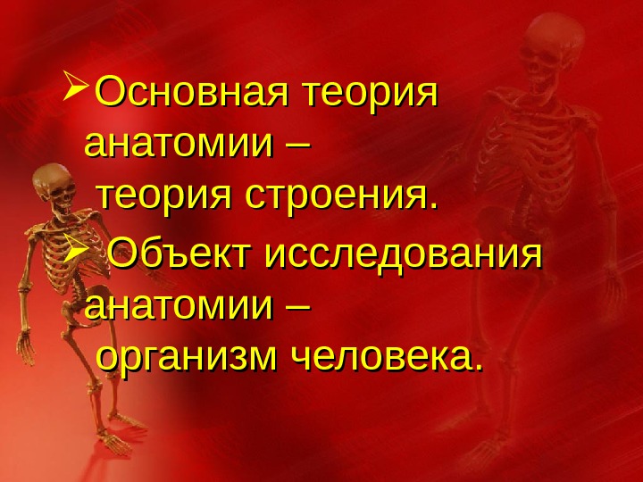 Анатомия Победы Магазин