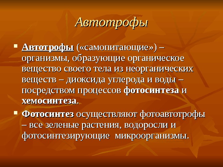 Организмы образующие органические вещества называются. Организмы образующие органические вещества. Организмы образующие органические вещества из. Организмы образующие органические вещества из неорганических. Автотрофы образовывают органические вещества из неорганических.