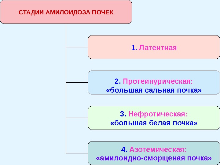 Назовите стадию. Стадии вторичного амилоидоза. Стадии амилоидоза почек. Стадии течения амилоидоза почек. Стадии амилоидоза.