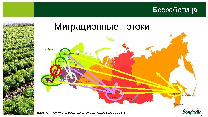 Карта миграционных потоков