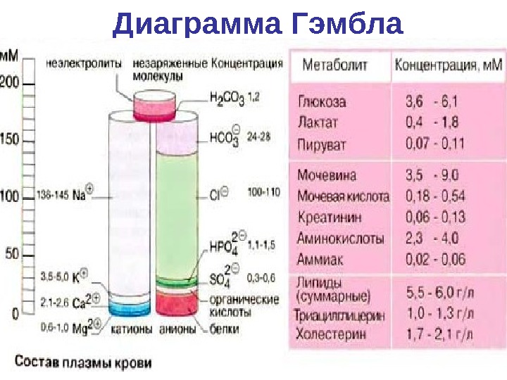 Биохимия крови — 1 д. м. н.