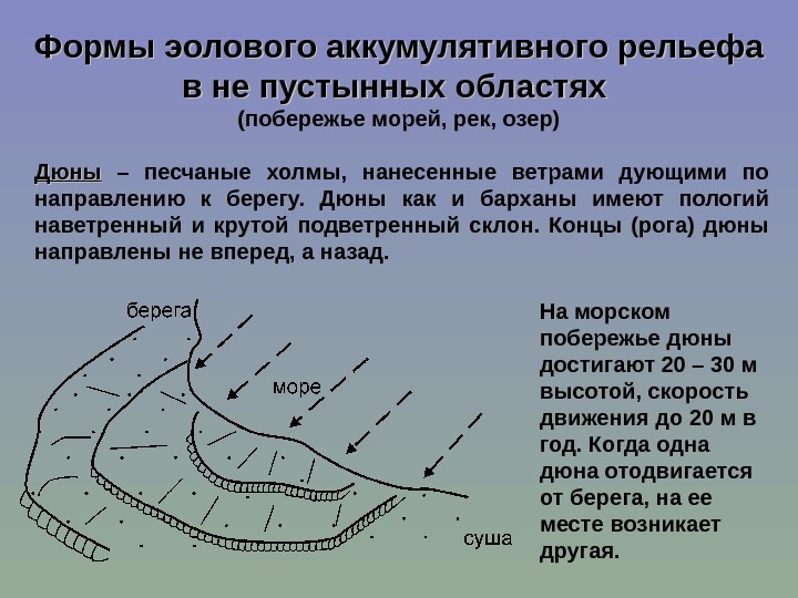 Ветер формы рельефа. Аккумулятивные формы рельефа Бархан Дюна. Эоловые аккумулятивные формы рельефа. Эоловые аккумулятивные формы рельефа схема. Эоловые формы рельефа дюны.