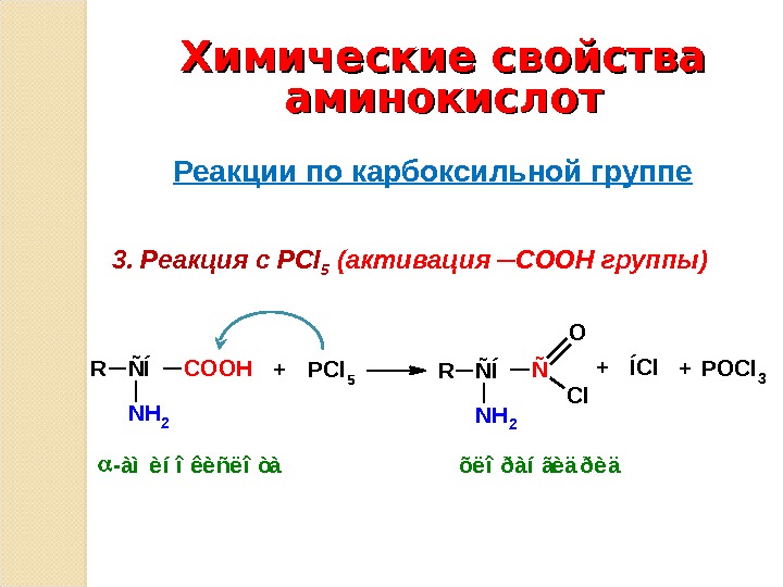 Строение и свойства аминокислот