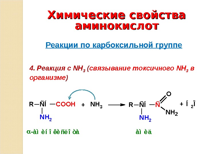 С чем реагируют амины. Химические свойства аминокислот. Реакции аминокислот. Основные реакции аминокислот. Общие реакции на аминокислоты.