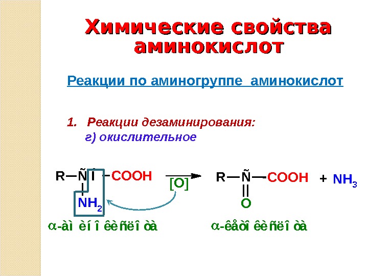 Химические свойства аминокислот. Химические свойства аминокислот по аминогруппе. Химические свойства аминокислоты реагируют. Химические свойства аминокислот реакции по аминогруппе. Химические свойства аминокислот нейтрализации.