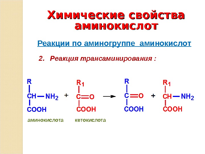 Свойства аминокислот реакции