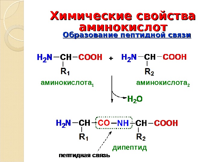 При сжигании образца дипептида