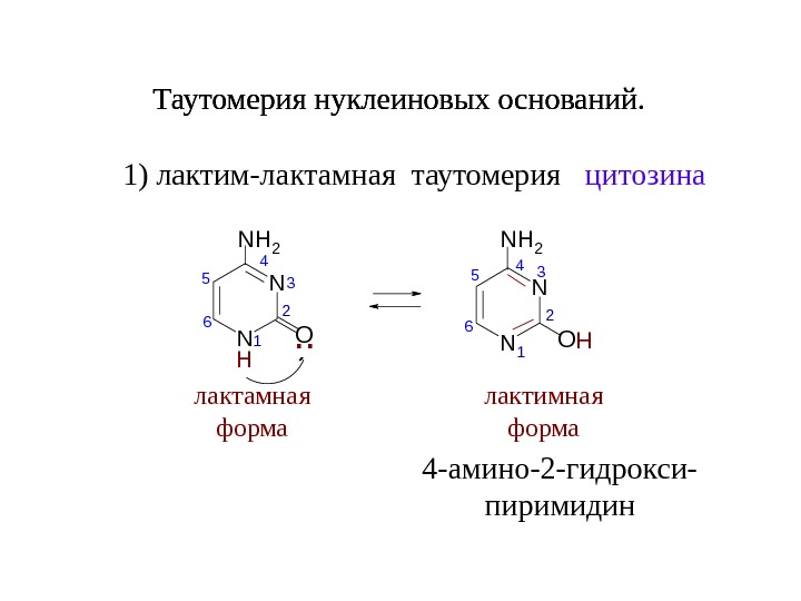 Схема таутомерных превращений гуанина - 88 фото