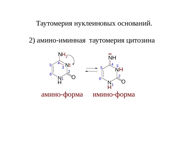 Схема таутомерных превращений гуанина - 88 фото