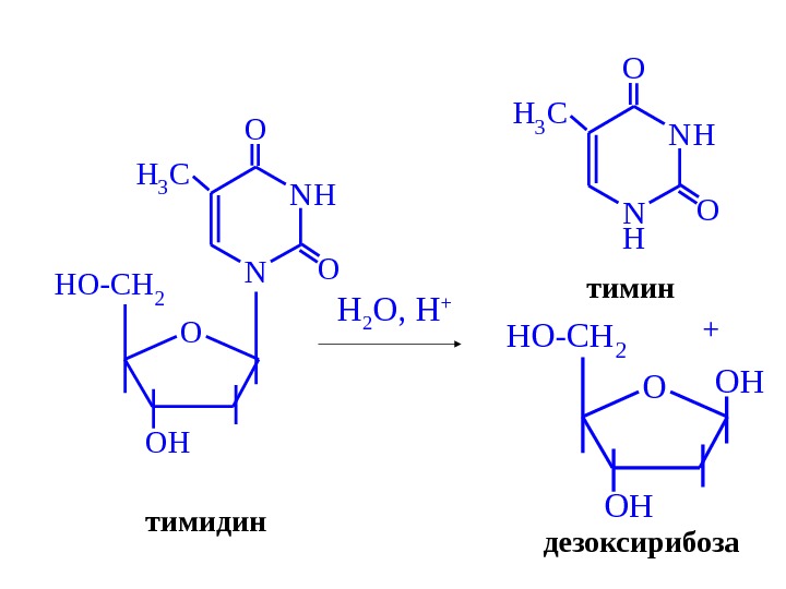 Напишите строение. Тимидин 5 фосфат. Тимин в тимидин. Тимидин 5 фосфат формула. Тимидин 3 фосфат.