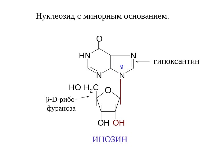 Классификация нуклеиновых кислот схема