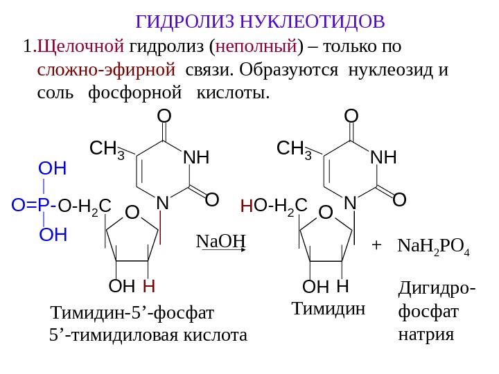 Схема образования цитидина