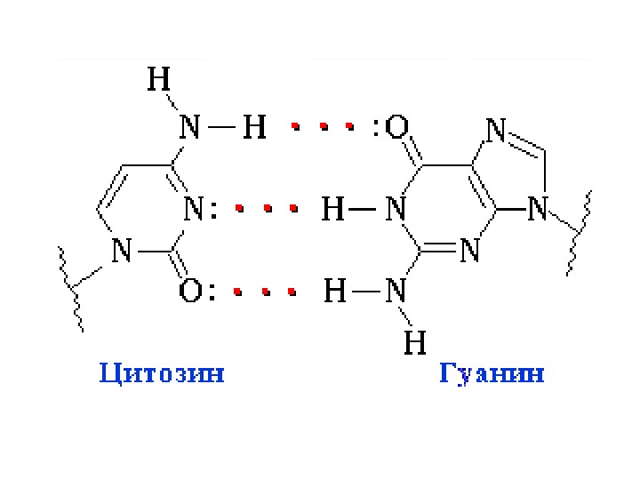 Классификация нуклеиновых кислот схема