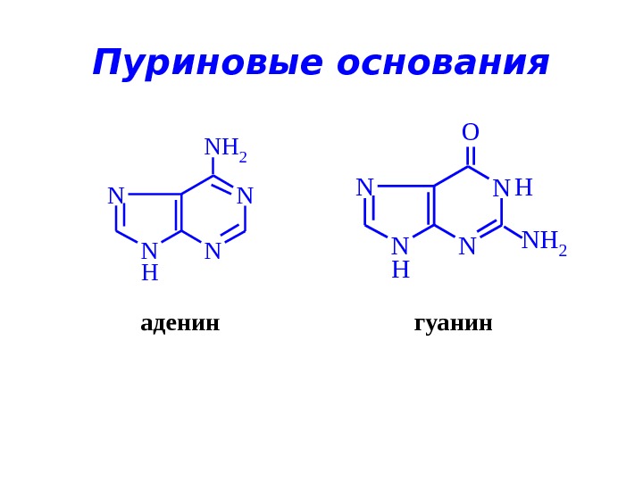 Аденин формула структурная фото