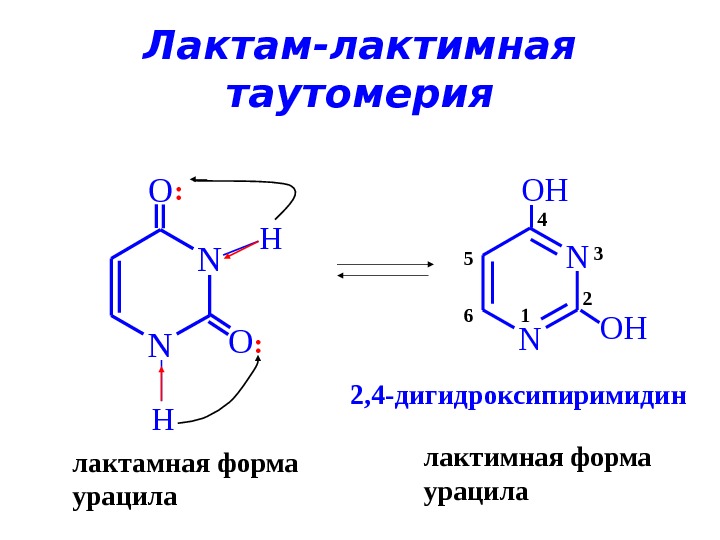 Схема таутомерных превращений гуанина