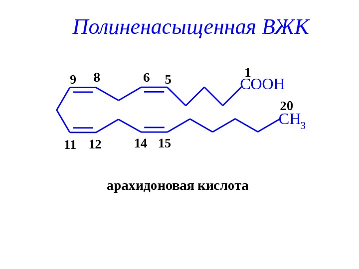 Вжк сочи. Арахидоновая кислота формула. Арахидоновая кислота Конформационное строение. Арахидоновая кислота структурная формула. Арахидоновая структурная формула.