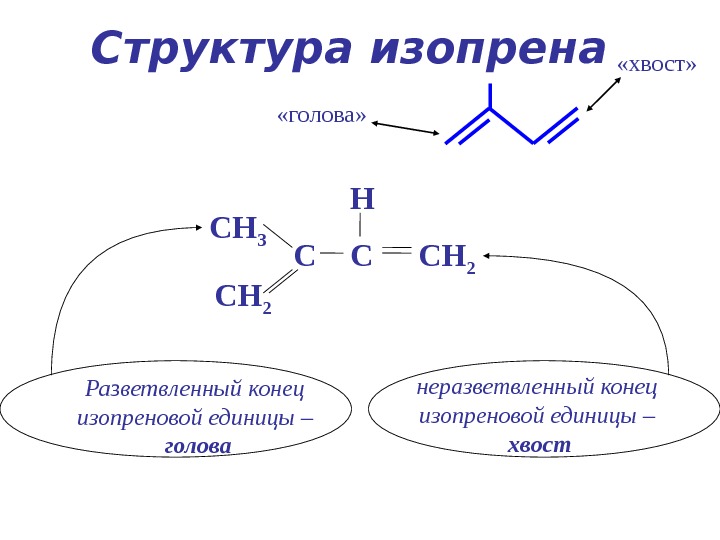 Изопрен формула