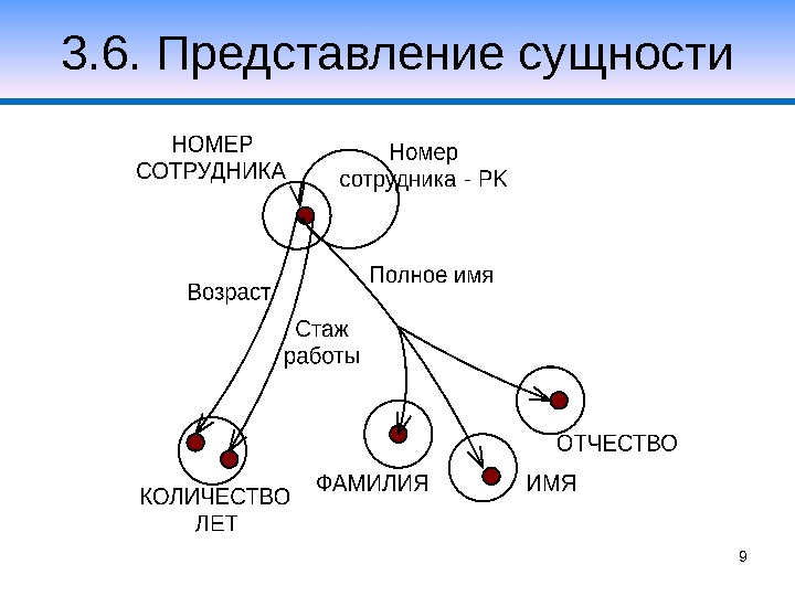 Атрибуты каждой сущности