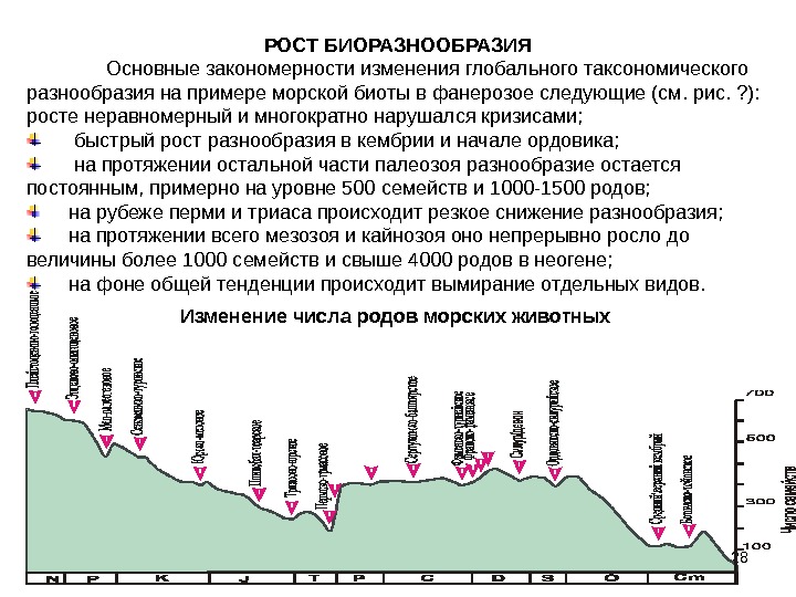 Изменения происходящие в периоде. Сокращение биологического разнообразия график. Закономерности биологического разнообразия. График изменения биологического разнообразия. Глобальные изменения биологического разнообразия.