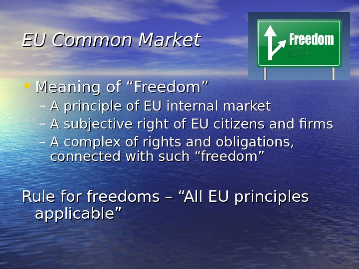 What Is The Definition Of A Common Market European Union Quizlet