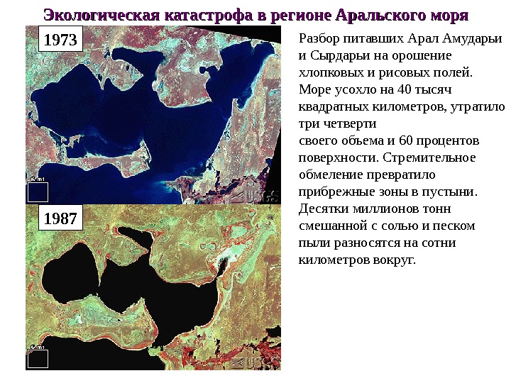 Проект проблемы аральского моря