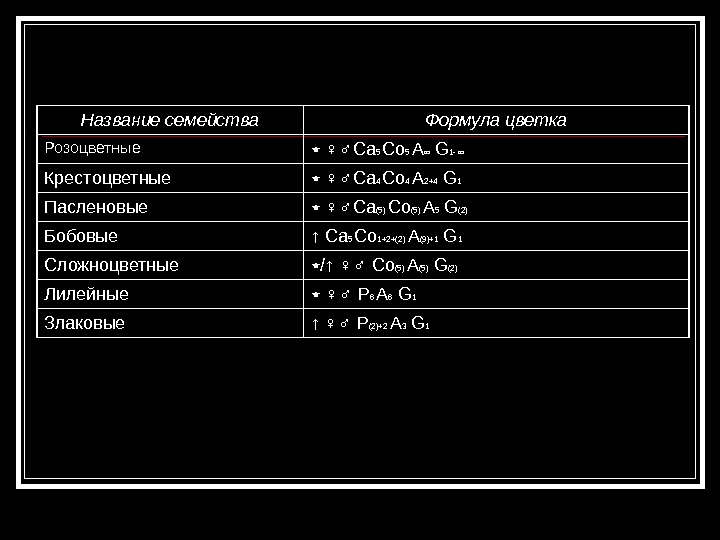 Ч5л5т бесконечность п бесконечность какое семейство