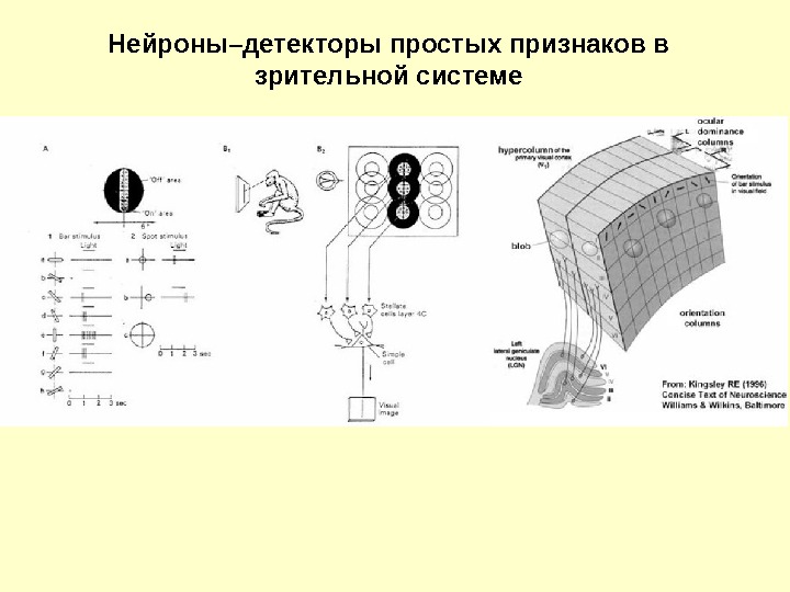 Детектирование признаков зрительного изображения