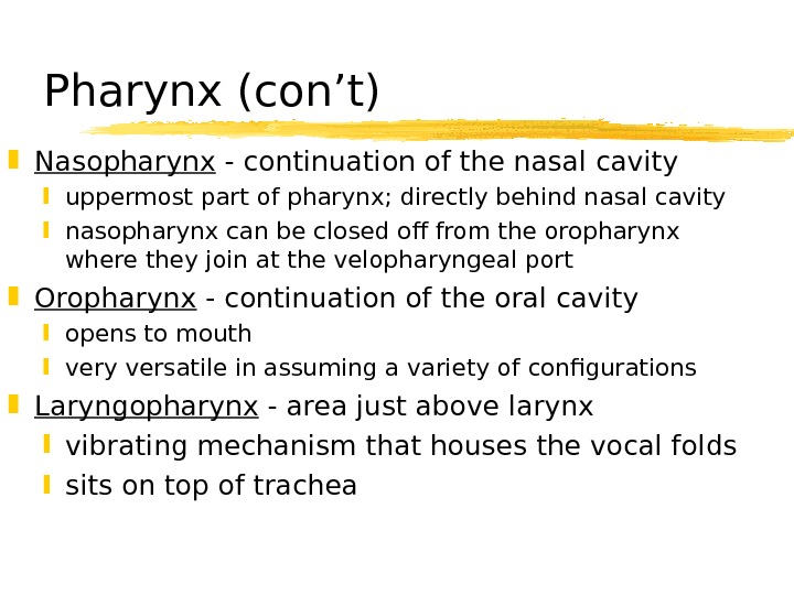 The Speech Mechanism Speech is an overlaid