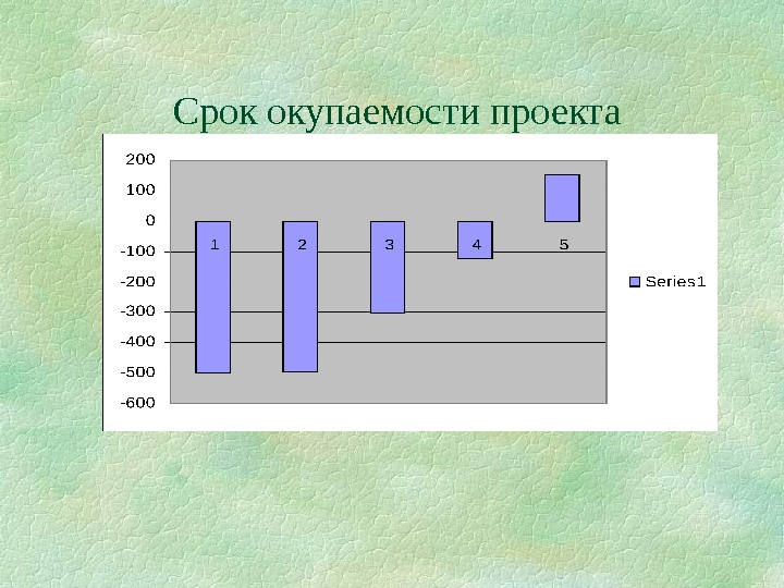 Анализ окупаемости проекта