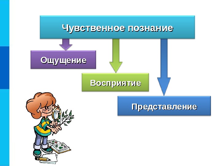 Чувственное познание картинки