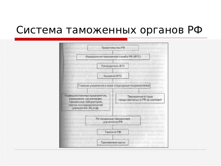 Презентация на тему правоохранительная деятельность